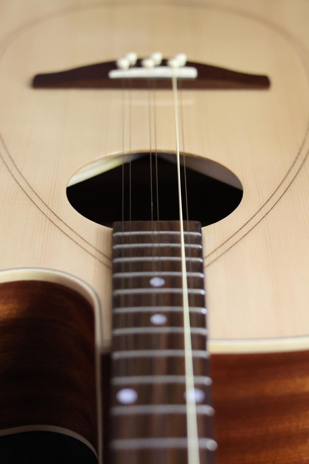 Samjam Sazguitar SG-07