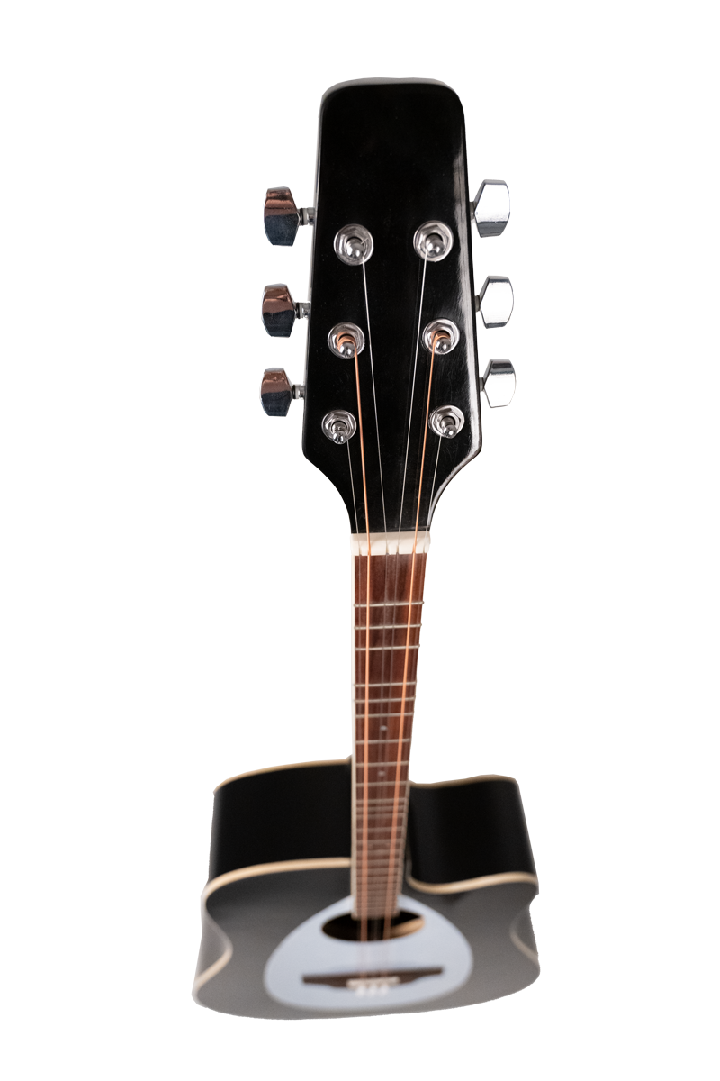 Samjam Sazguitar SG-06