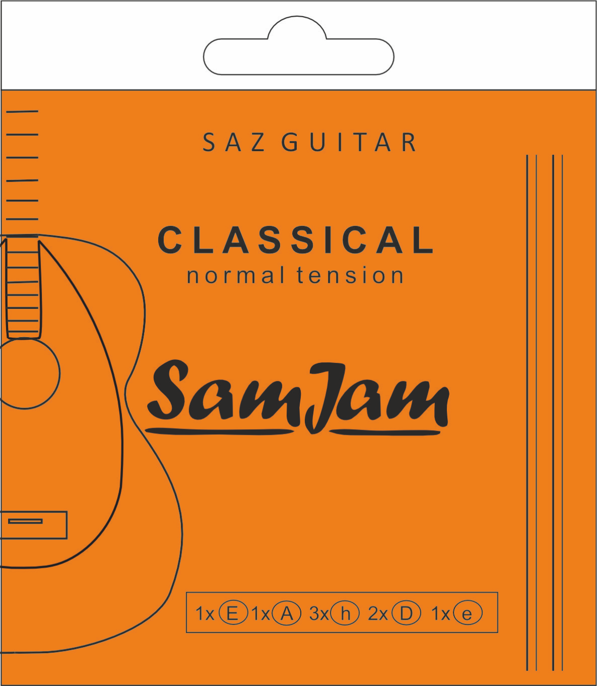 Samjam Sazguitar Strings  Classic für SG-34